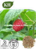 Raspberry Extract Raspberry Ketone CAS: 5471-51-2