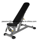 Gym Equipment Pgg206 with SGS