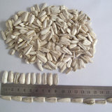 White Sunflower Seeds for Human Consumption