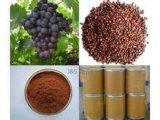 Grape Seeds Extract with Polyphenols 95% by UV
