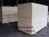 Poplar Plywood for Furniture