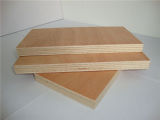 1220X2440mm Okoume Plywood Sheets, Poplar Core E1 E0 Glue Commercial Plywood
