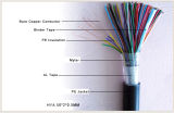 Common Communication Cable (HYA)