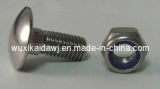 Stainless Steel Carriage Bolt