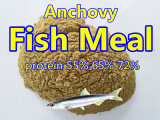 Animal Feed Fish Meal Protein 65% 72%