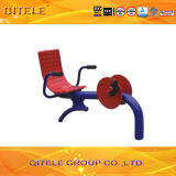 Outdoor Playground Gym Fitness Equipment (QTL-3905)