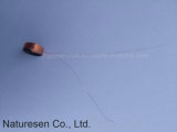 Air Core Coil/Inductor Coil/Toy Coil/Coil/Sp