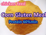 Non-Gmo Corn Gluten Feed Protein 60%Min