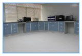 Floor Mounted Laboratory Work Station Supplier