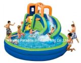 Commercial Grade Inflatable Water Slide with a Pool