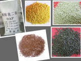 Diammonium Phosphate, DAP Fertilizer, (DAP 18-46-0) Supplier (Total N: 18%)