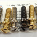 CNC Turning Parts, Custom High Precision Decorative Fastener Parts