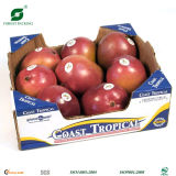 Paper Packaging Boxes for Fruit and Vegetables (Fp901455)