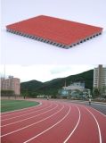 Iaaf Certified Huadongtrack, Synthetic Track Surface, Prefabricated Rubber Running Track Surface