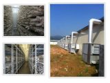 Climate Control Chiller for Mushroom Planting
