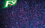 Highest Frozen Blueberries Nutrition-06