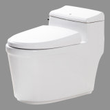 Toilet (P-2279)