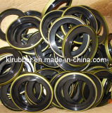 Tc Oil Seal for Truck Parts and Machine