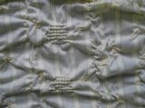Jacquard Cotton Embroidery