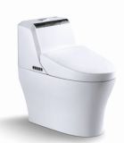 Automatic Toilet (HTA8106)