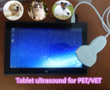 USB Tablet Ultrasound Scanner Medical Equipment