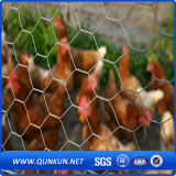 Lowest Price Hexagonal Chicken Wire Nettings