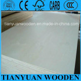 Bleached Poplar Plywood/Poplar Commercial Plywood