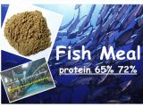 Fish Meal From Sea Fish Protein 65% 72%