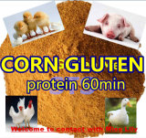 Chicken Feed Corn Gluten Meal with Protein 60%Min