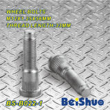 BS-B022-1 Wheel Bolt, Auto Bolt, Fastener, Aftermarket Parts