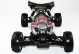 RC Electric Car, Hot Sale 4WD Buggy, RC Car, 1/10 Brushless Electric Car