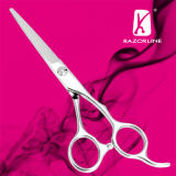 Razorline R10 SUS420J2+ Stainless Steel Professional Hairdressing Scissors