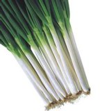 Natural Quality Fresh Green Onion Vegetables