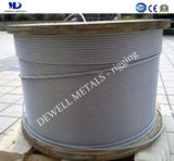 Spring Steel Wire Rope
