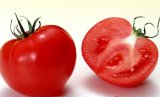 Supply Best Natural Tomato Extract Lycopene, GMP Lycopene Antioxidant Capsules