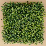 High Simulated Plastic Boxwood Artificial Grass for Garden