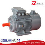 Variable Frequency Three Phase Electric Motors