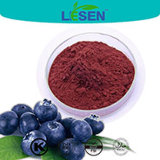 Organic Acai Berry Powder Acai Berry Anthocyanidin