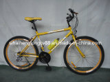 Match Color Mountain Bicycle for Hot Sale MTB-033