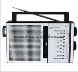 FM/TV/AM/SW1-2 5 Band Radio MP3 Player Torch (BW-F7500UL)