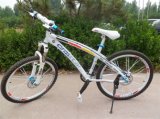 Rare Earth Magnesium Alloy Bicycle