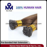 Fashion Human Hair I Tip Human Hair in Stock
