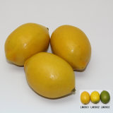 Artificial Fruit, Imitative Polyfoam Lemon