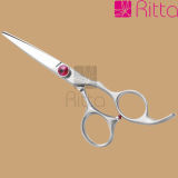Sharp Hair Scissors , Hair Shears, Hairdressing Scissors (RS2031)