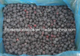 IQF Cultivated Blackberries