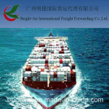 Sea Freight From China Guangzhou to Tangier Morocco