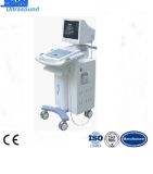 Trolley Full Digital Ultrasound Scanner Medical Equipment
