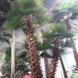 Large Arficial Palm Tree Fake Plant for Decor Outdoor &Indoor