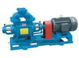 Sk Series Water Ring Vacuum Pumps (GLC) 