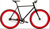Customized Color Fix Gear Bicycle